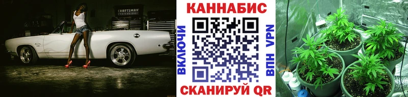 Бошки марихуана индика  Бронницы 